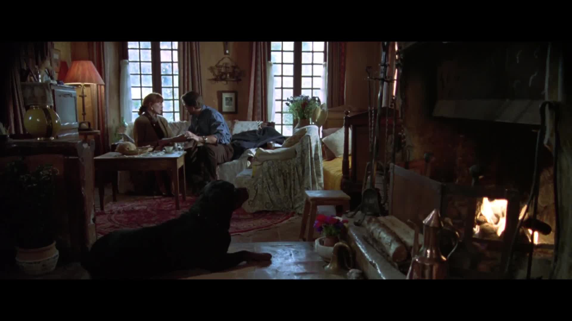 Maximum Risk คนอึดล่าสุดโลก (1996)
